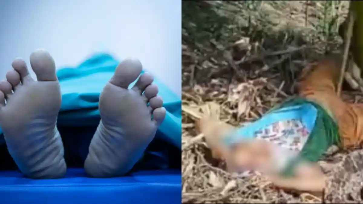 Update Kasus Lansia Gorontalo Ditemukan Meninggal di Kebun, Nenek Raina Punya Riwayat Penyakit 