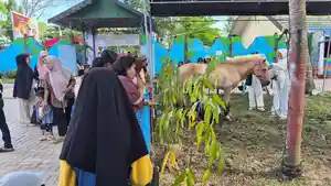 Hewan-kuda-di-KBM-Jahri-Saleh-Banjarmasin-menarik-perhatian-pengunjung22.jpg