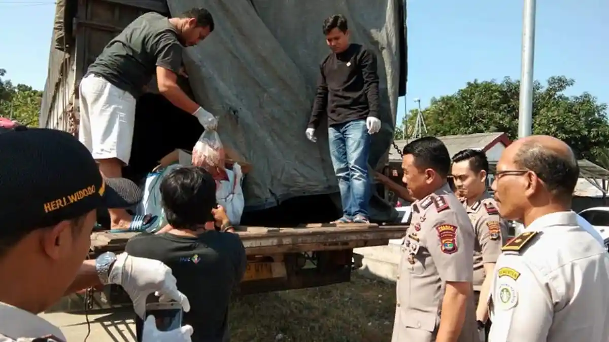 BREAKING NEWS - KSKP Bakauheni Gagalkan Pengiriman 4 Ton Daging Celeng Tanpa Dokumen