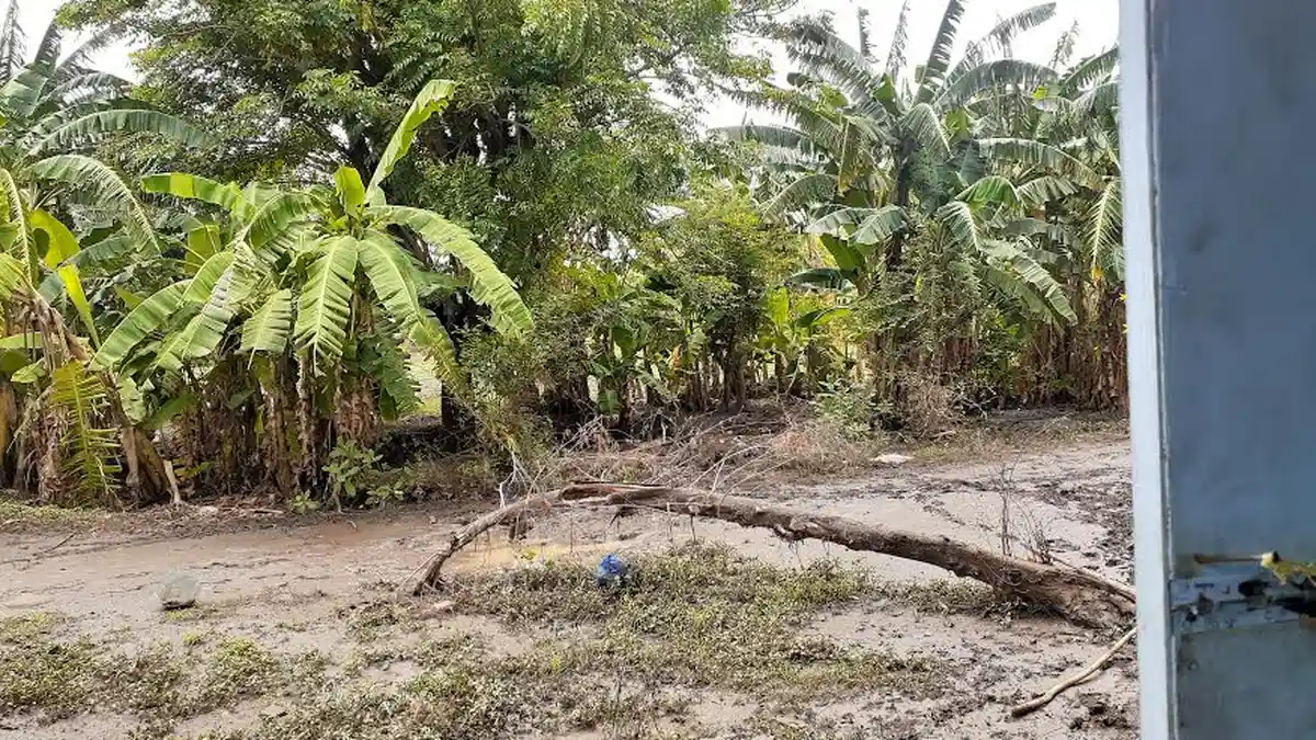 Banjir Rendam Puluhan Rumah 3 Kelurahan di Sikka