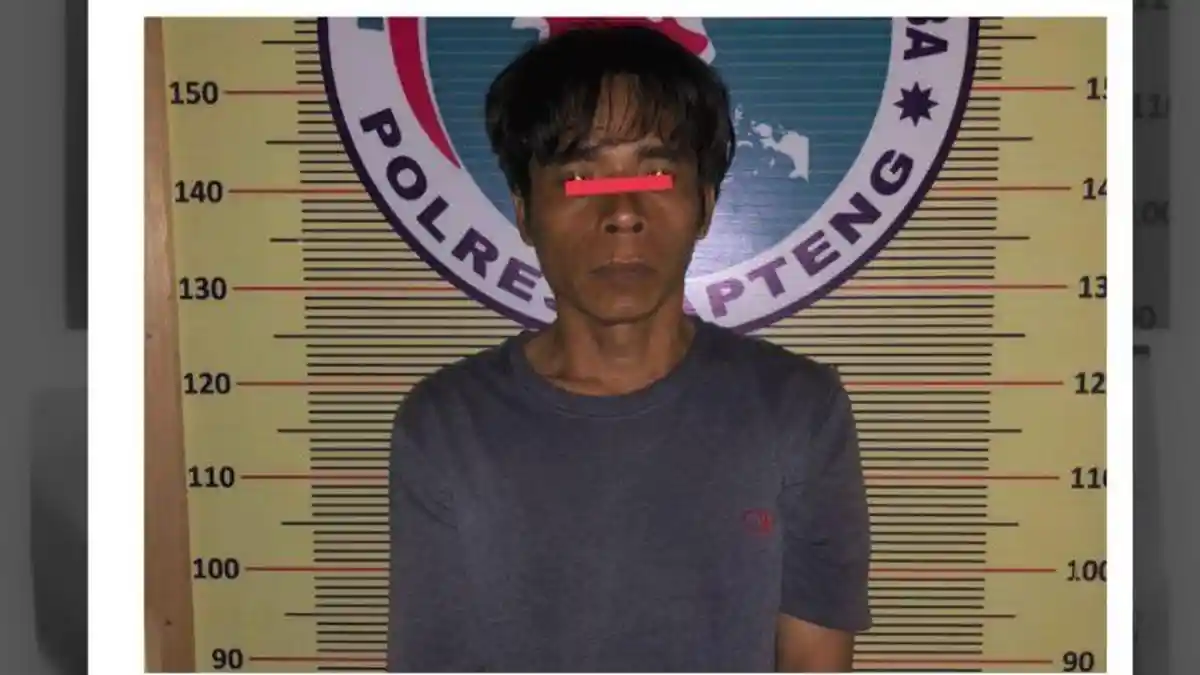 Kena Kibus, Bandar Ganja di Tapteng Kena Ringkus Polisi