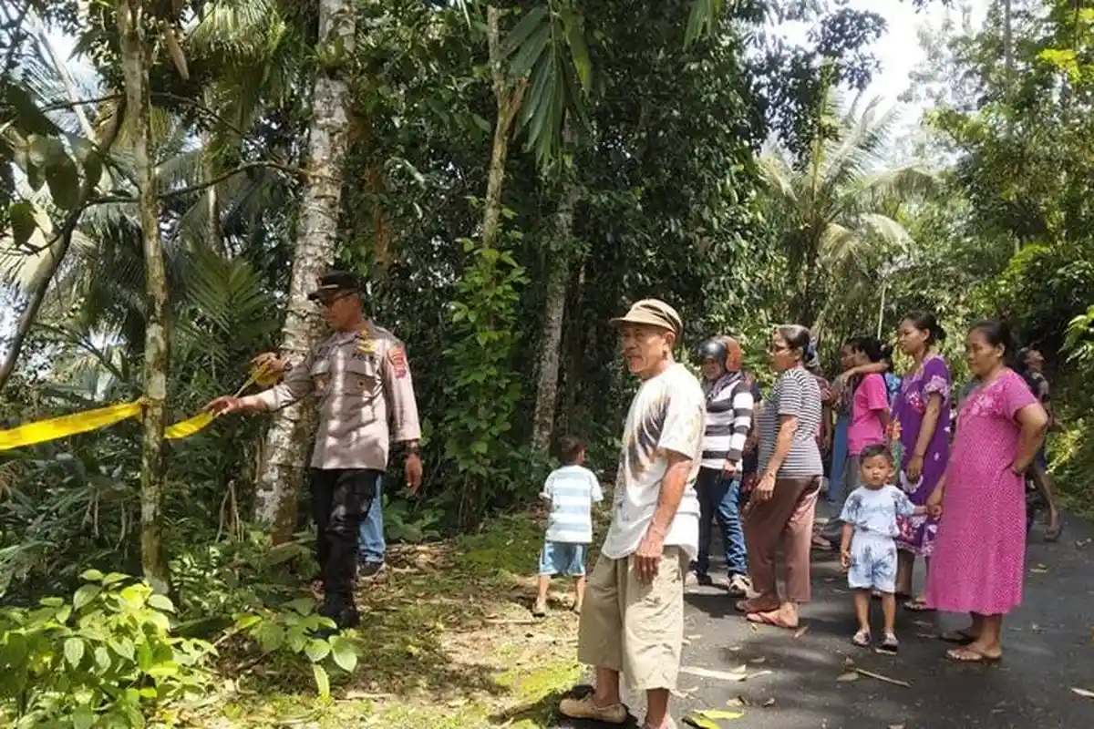 Tebing Jalan di Kedungbanteng Banyumas Ambrol, Tutup Sebagian Sawah Warga