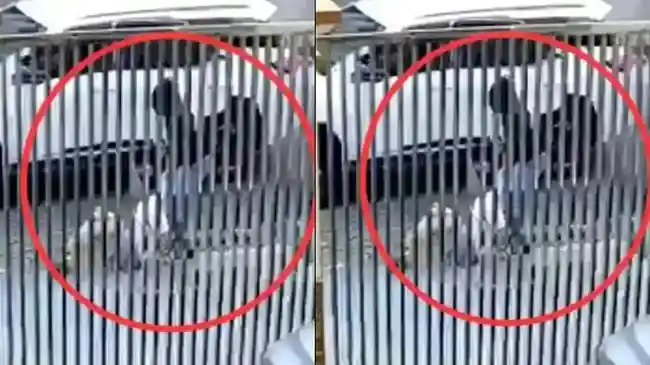 Dua Pelaku yang Coba Culik Lansia di Penjaringan Jakarta Utara Ditangkap