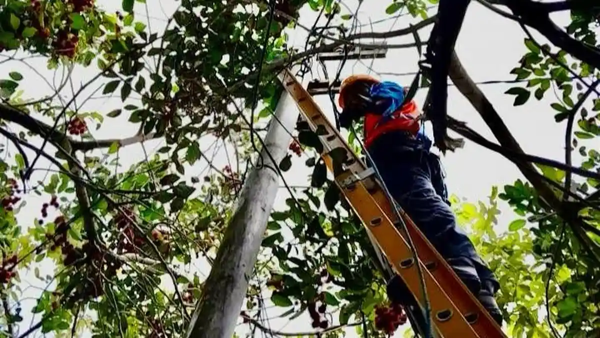Antisipasi Cuaca Ekstrem, PLN Maluku Siagakan Petugas Jaga Kelistrikan selama Ramadan