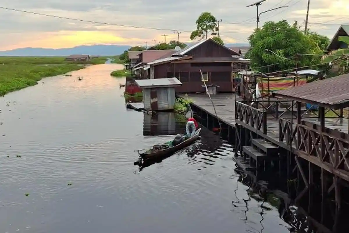 Alasan Pedagang Ikan Berjualan di Bahu Jalan Desa Pinang Habang  Amuntai, Lebih Disukai Pembeli