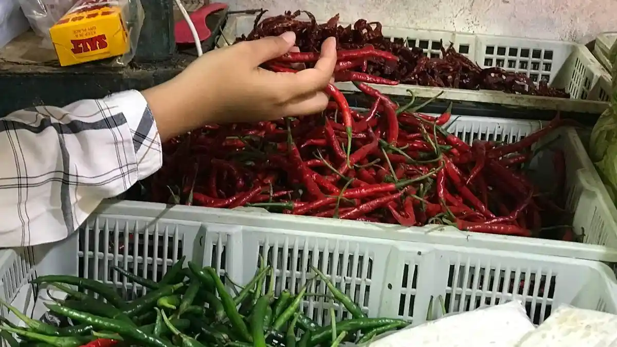 Harga Cabai Merah di Batam Sekilo Tembus Rp 120 Ribu, Naik Dua Kali Lipat