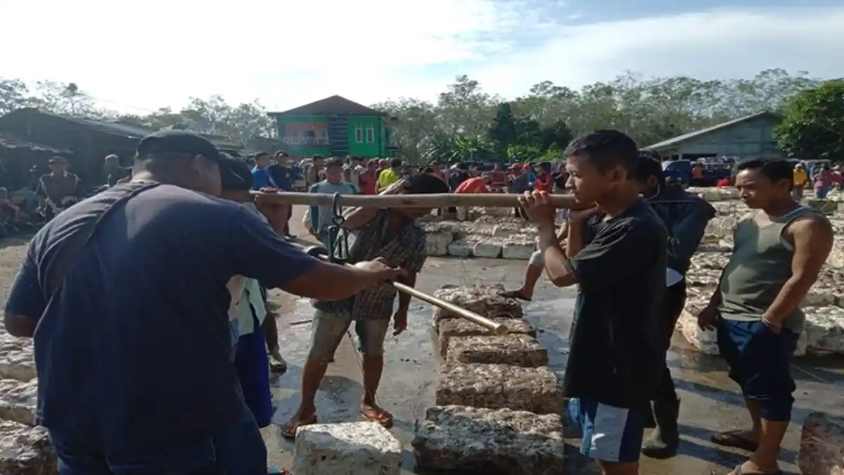 Harga Getah Karet di PALI Tembus 10 Ribu Per Kilogram, Bikin Petani Semangat Nyadap