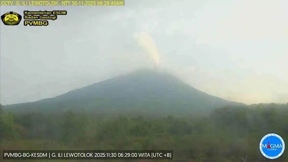 24 Jam Terakhir, Gunung Lewotolok 3 Kali Gempa Letusan 27 Kali Gempa Hembusan