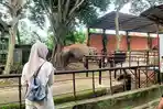Wisata-Taman-Rimba-11.jpg
