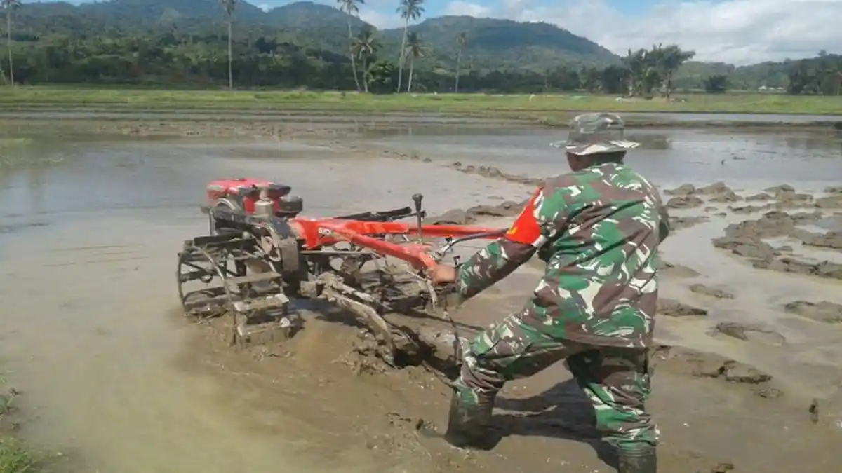 Tunjukan Kepedulian TNI, Serda Daniel Laatung Bantu Petani Bajak Sawah