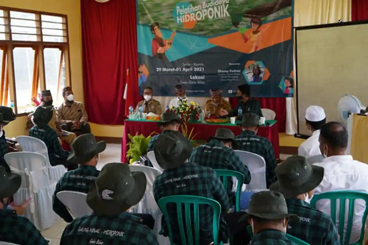 Masyarakat Desa Golo Bilas Sambut Baik Pelatihan Hidroponik yang Digelar BOPLBF