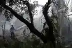 Kebakaran Lahan di Pekanbaru
