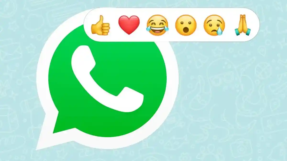 Fitur Reactions WhatsApp, Cocok Dipakai Saat Kamu Bingung Balas Chat
