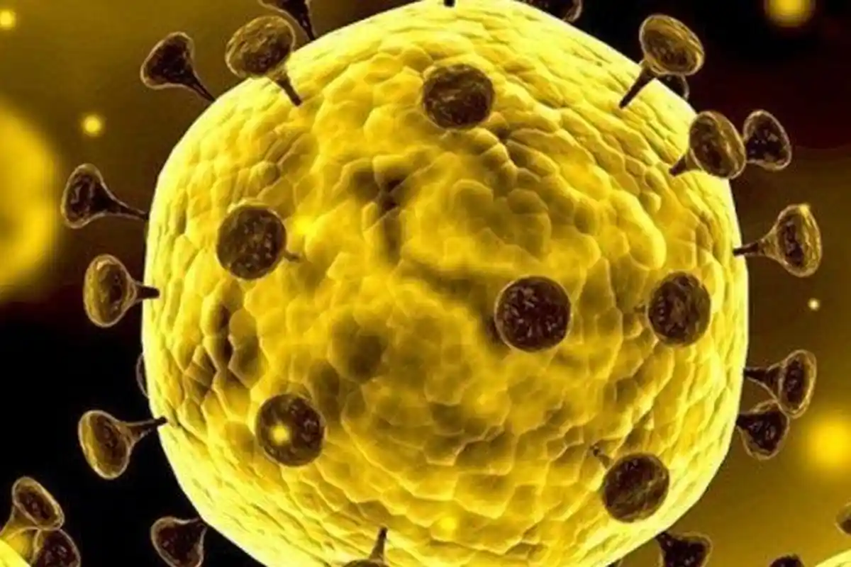 Puncak Pandemi Corona Diprediksi Pada Awal Mei hingga Juni 2020, Positif Bisa Capai 160 Ribu Orang