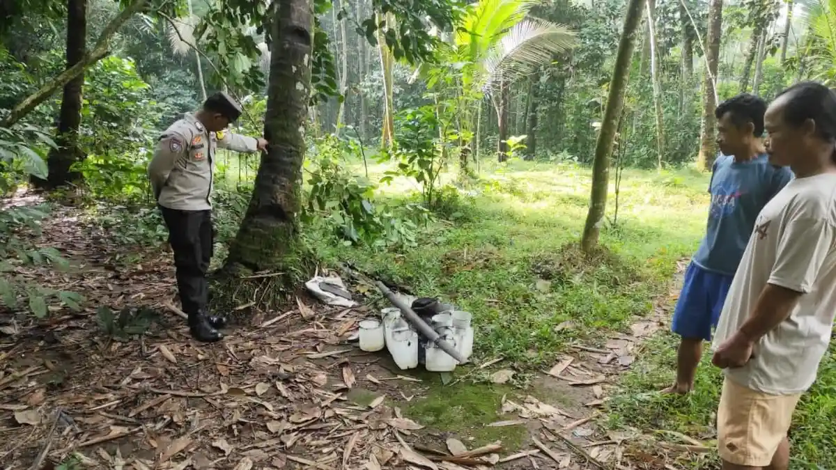 Penderes di Purbalingga Tewas Tewas Jatuh dari Pohon Kelapa Setinggi 15 Meter
