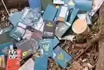 paspor-dibuang-viral.jpg