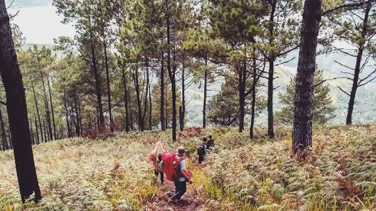 Identitas Mahasiwa ITB yang Hilang saat Pendakian Gunung Puntang, Kronologi Awal Sebelum Hilang