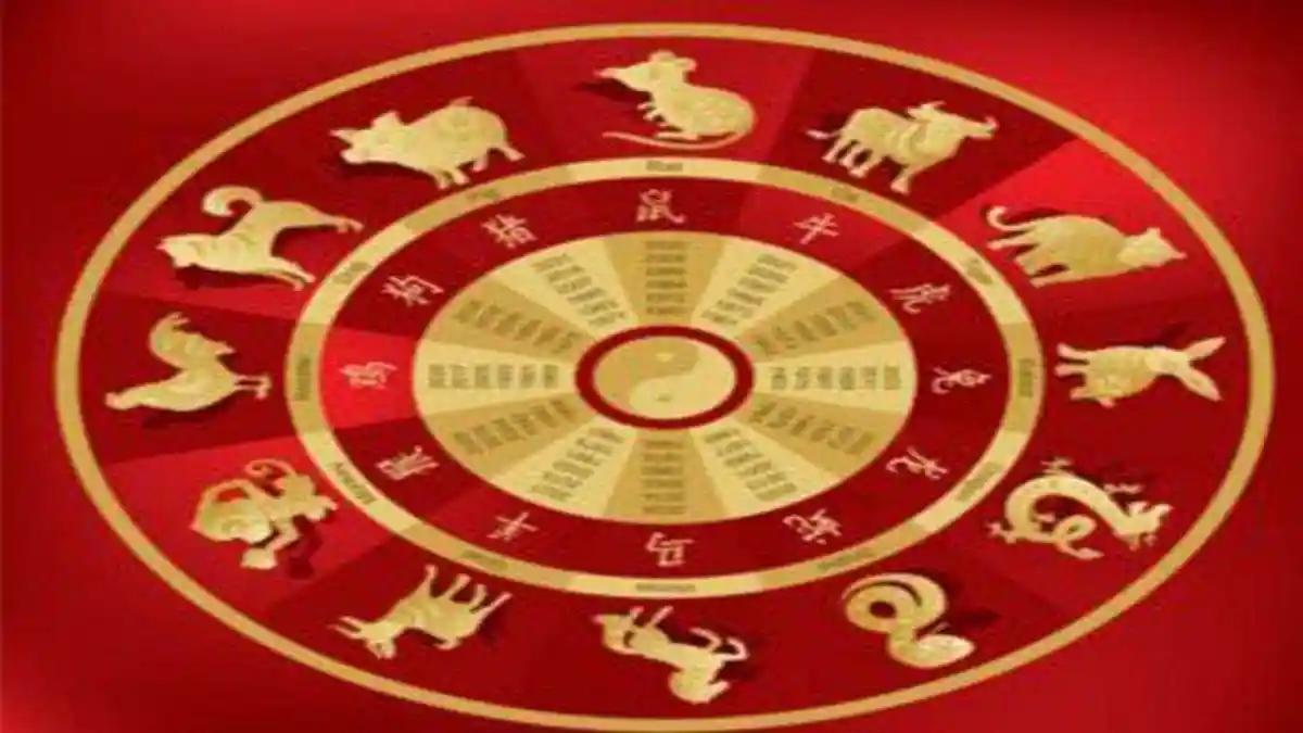 RAMALAN SHIO Lusa Sabtu 20 November 2021, Usaha Baru Shio Kerbau & Tetap Low Profile Shio Monyet