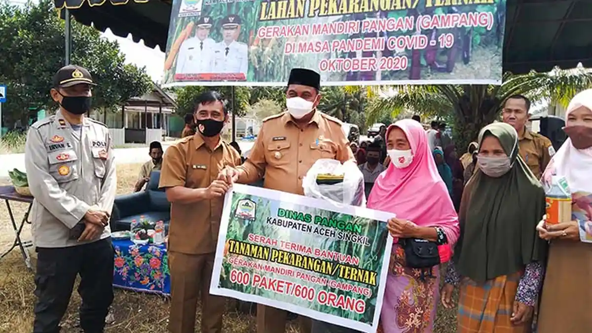 Pandemi Corona, Kaum Ibu Aceh Singkil Manfaatkan Lahan Pekarangan
