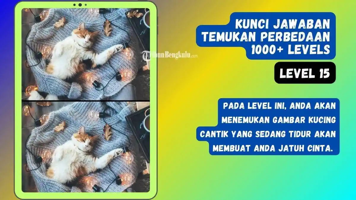 Jawaban Game Temukan Perbedaan 1000+ Levels Level 15