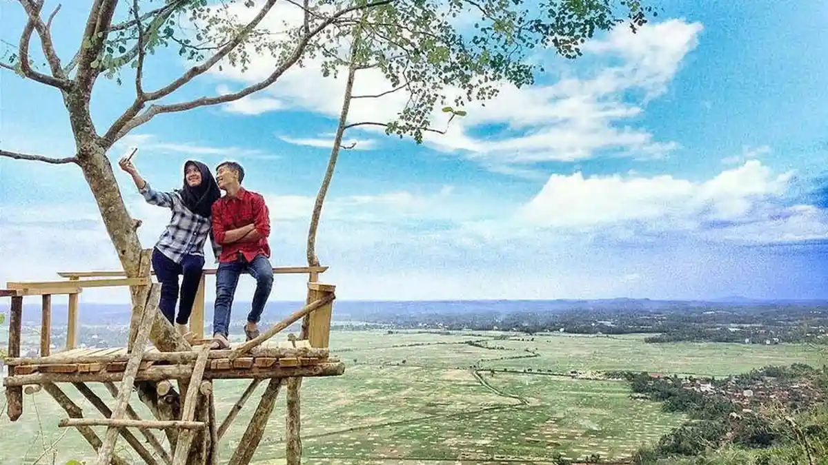 Mengintip Keindahan Pemandangan Kota Pringsewu dari Bukit PJR