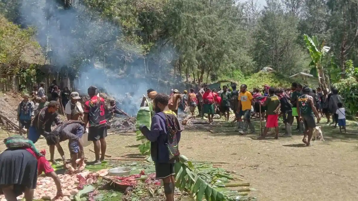 Warga Sanaba Bakar Satu Babi dan 250 Ayam Sambut Kepala Desa Baru Jhon Kogoya