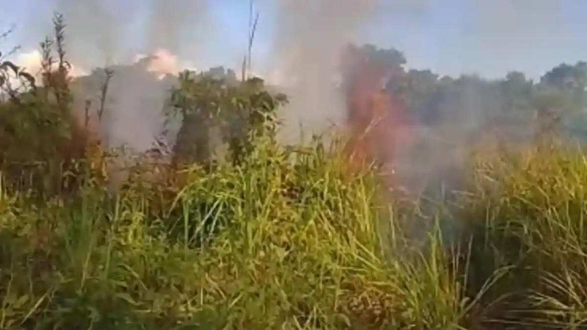 Lahan Semak di Sungaitiung Cempaka Banjarbaru Terbakar, Diduga Karena Cuaca Panas - Banjarmasinpost.co.id