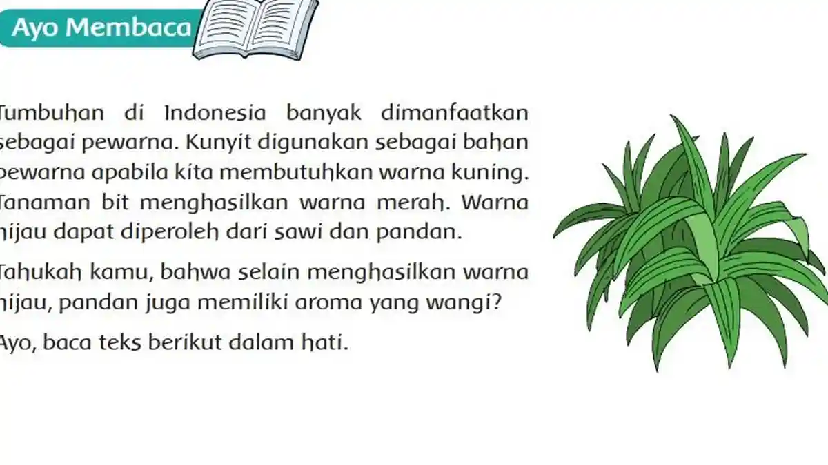 Kunci Jawaban Tema 1 Kelas 6 Halaman 151 152, Ayo Membaca: Daun Pandan yang Wangi
