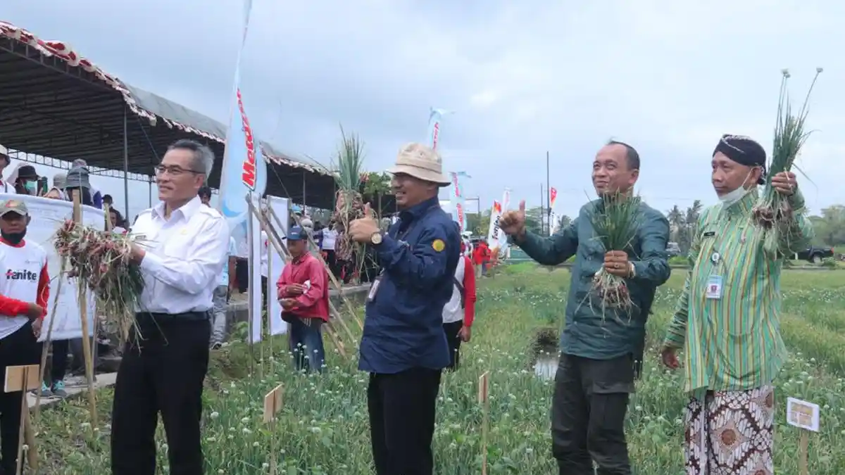 Bupati Halim Gembira Petani Bawang Bantul Terbuka Atas Perkembangan Iptek