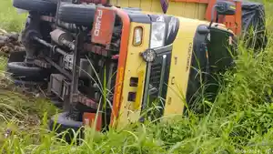 Truk-pengangkut-tanaman-hias-terguling-di-Gampong-Paya-Gajah-Kecamatan-Peureulak-Barat.jpg