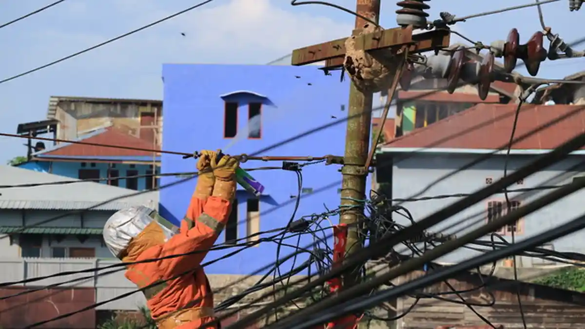 VIDEO - Bersarang di Tiang Listrik, Sarang Tawon Ini Gagal Dipindahkan
