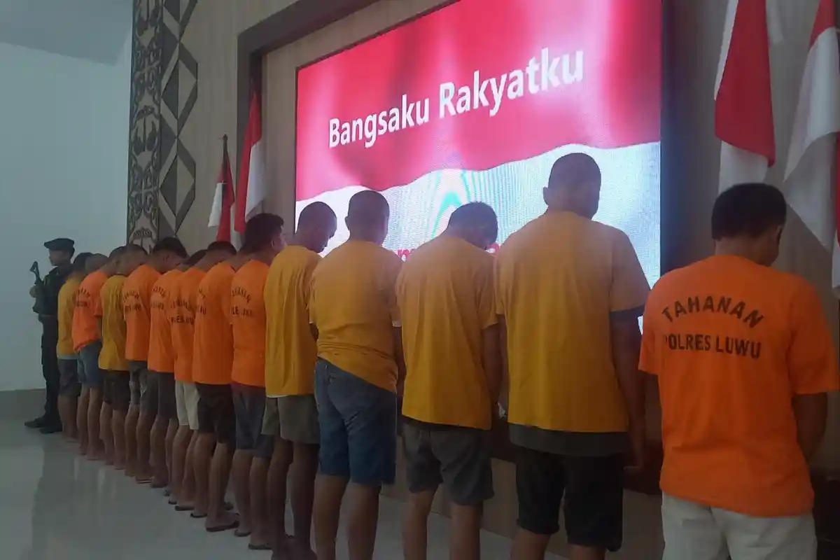 Dinas P3A Luwu Catat 34 Kasus, Kekerasan Seksual Jadi Kasus Terbanyak