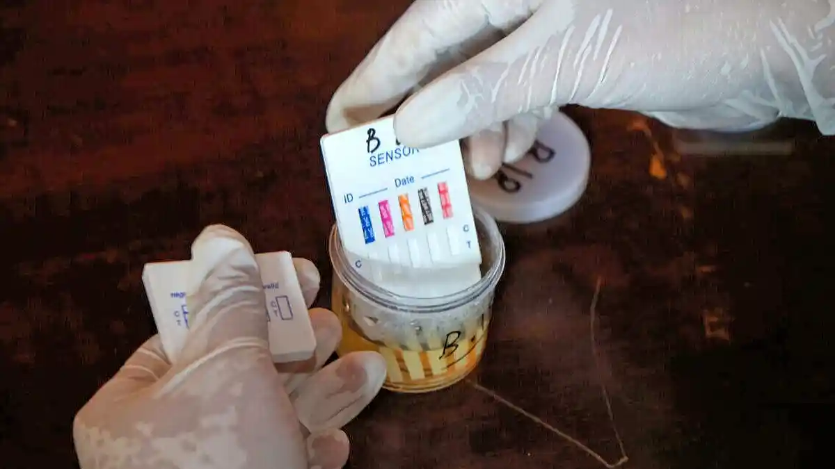 Pejabat-pejabat Eselon Pemkot Solo Mendadak Jalani Tes Urine