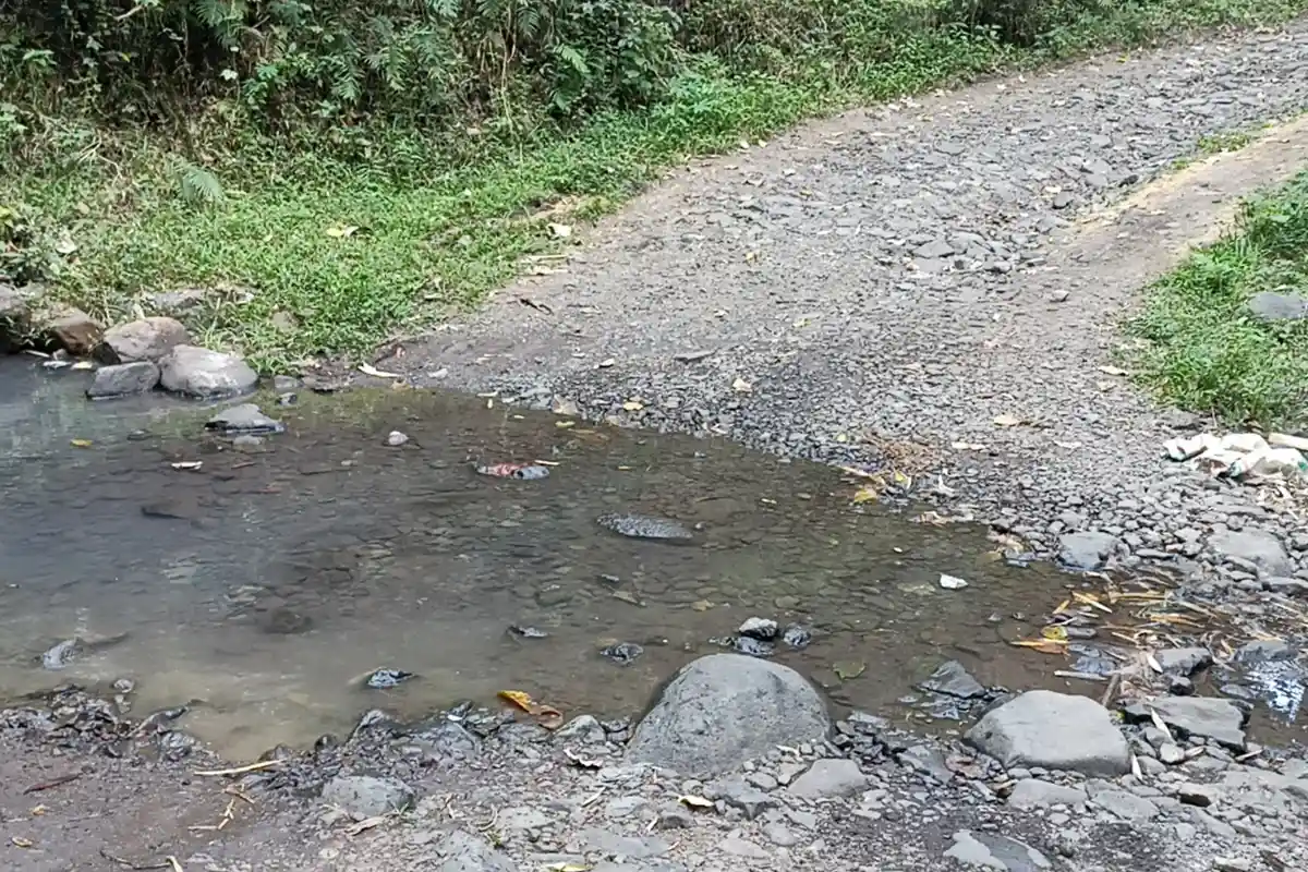 Anak Sekolah di Kampung Ritapada Manggarai Timur Melintas Lima Sungai Tanpa Jembatan. 