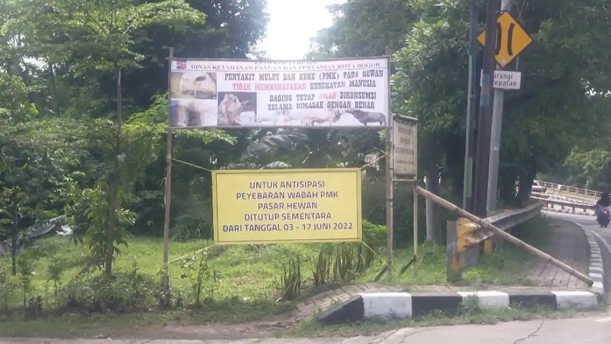 Hasil Lab Sudah Keluar, 7 Ekor Sapi di RPH Bubulak Kota Bogor Positif PMK