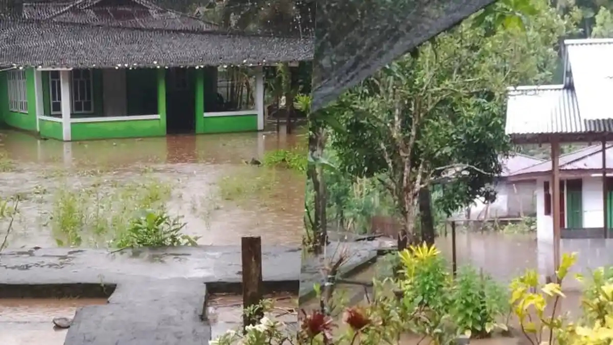 Akibat Cuaca Ekstrem Saat Lebaran, Pohon Tumbang dan Banjir Terjadi di Kota Bitung