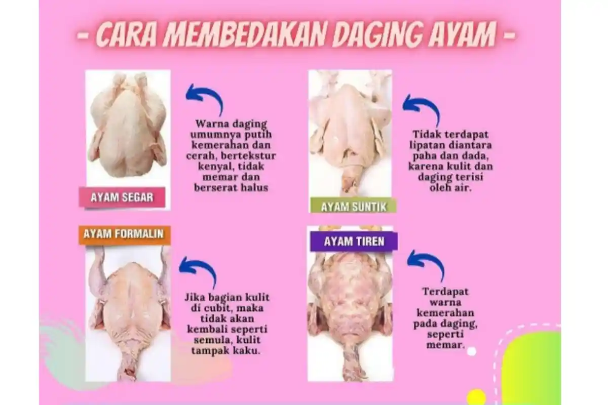 Ciri-Ciri Daging Ayam Segar, Suntikan, Formalin, dan Tiren Sebelum Membeli : Berikut Perbedaannya