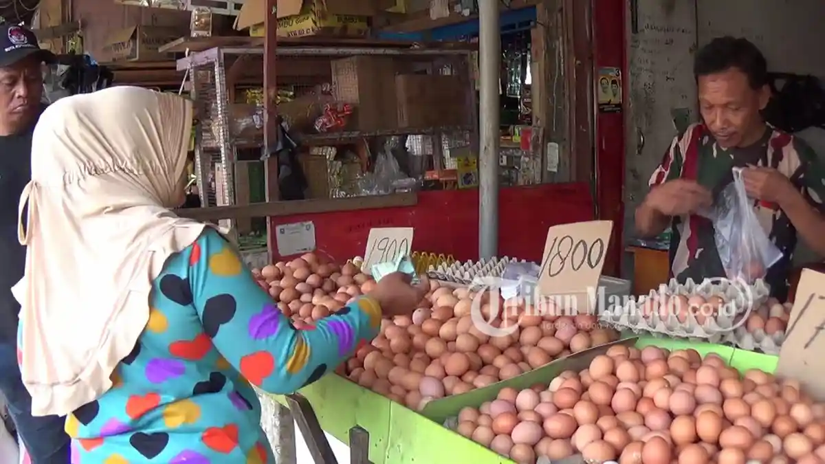Harga Telur di Kotamobagu Tembus Rp 45 Ribu Per Baki, Ini Langkah Disperindagkop dan UKM
