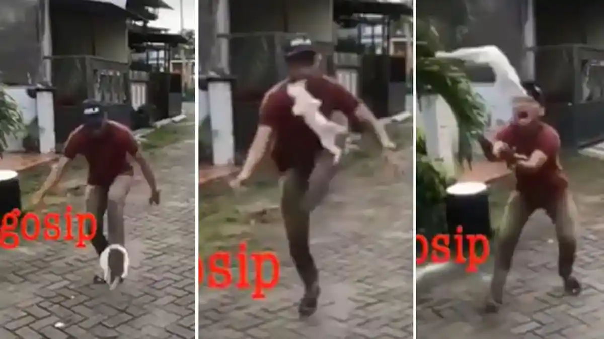 Video Aksi 2 Remaja Tendang-tendang Kucing Layaknya Main Sepak Bola ini Bikin Geram
