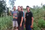 jagung-manis-milik-mereka.jpg