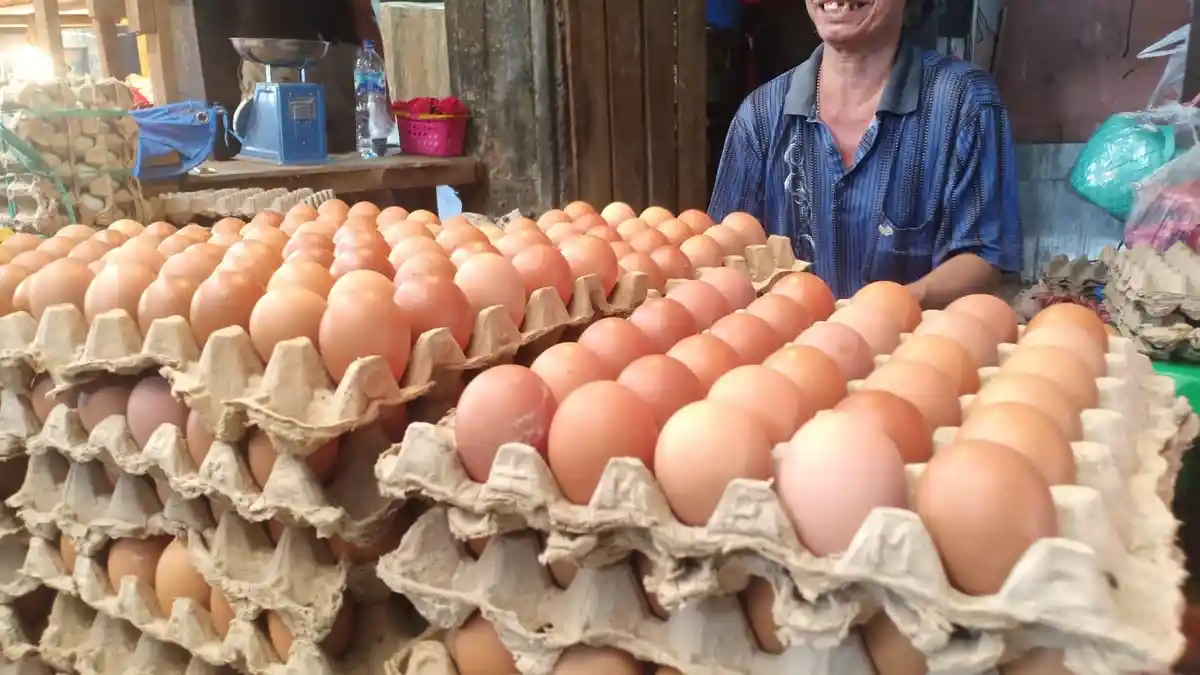 Harga Telur Terus Meroket Hingga Rp 62 Per Piring, Pedagang Pasar Segiri Samarinda Batasi Stok