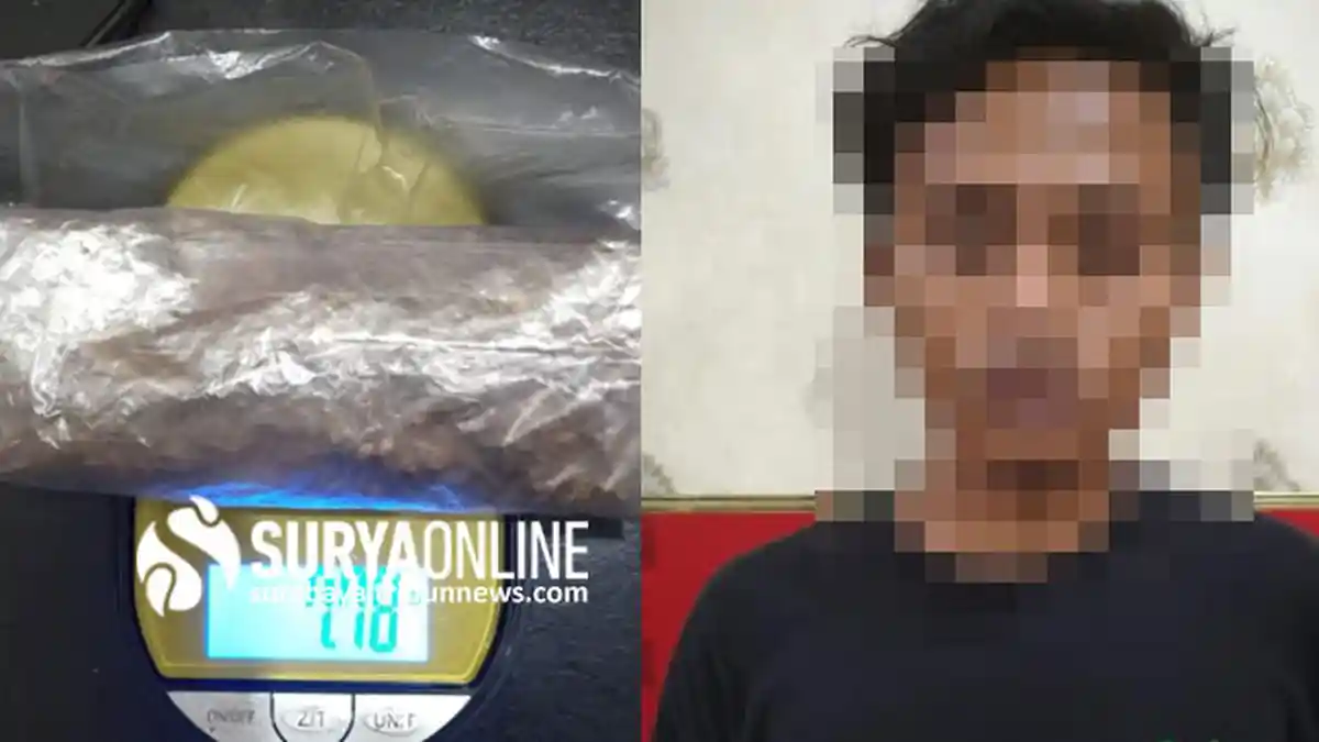 Warga Jalan Mulyorejo Selatan Surabaya Ditangkap Polisi karena Bawa Ganja