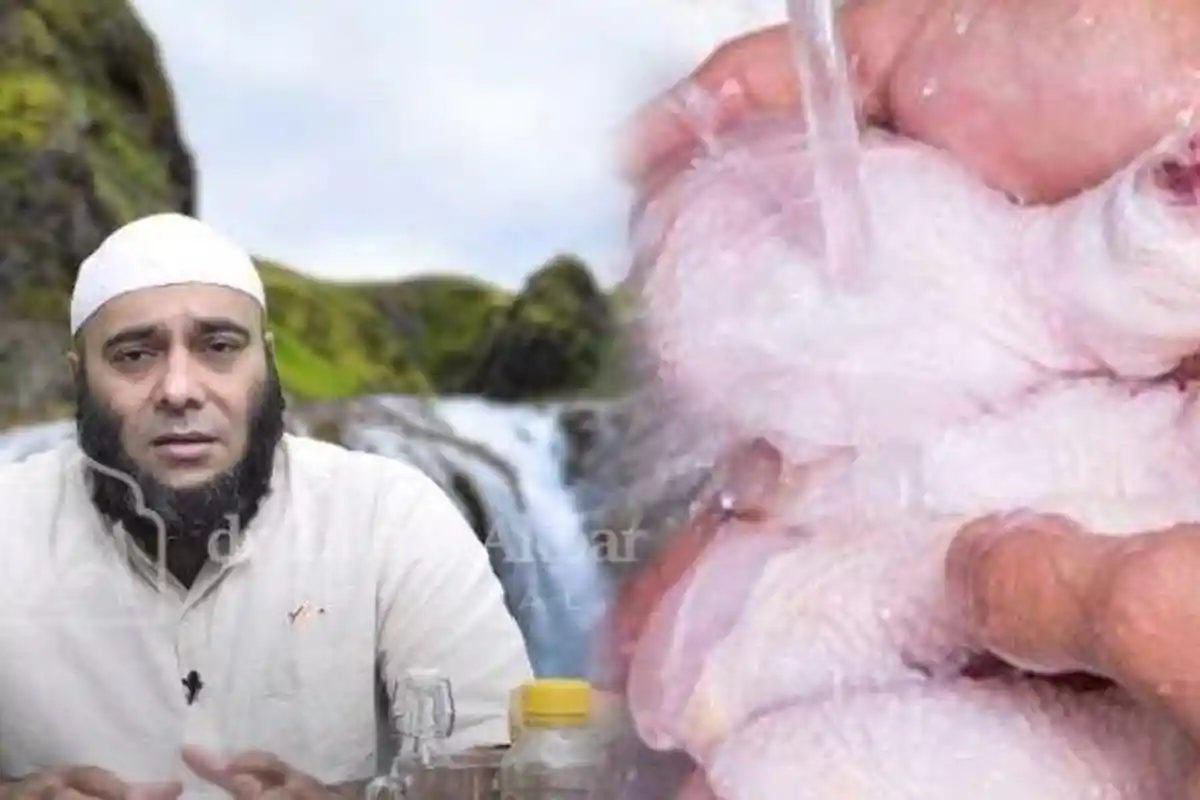 Ternyata 3 Bagian Ini pada Tubuh Ayam Bisa Kurangi Keriput hingga Kuatkan Sendi Kata dr Zaidul Akbar