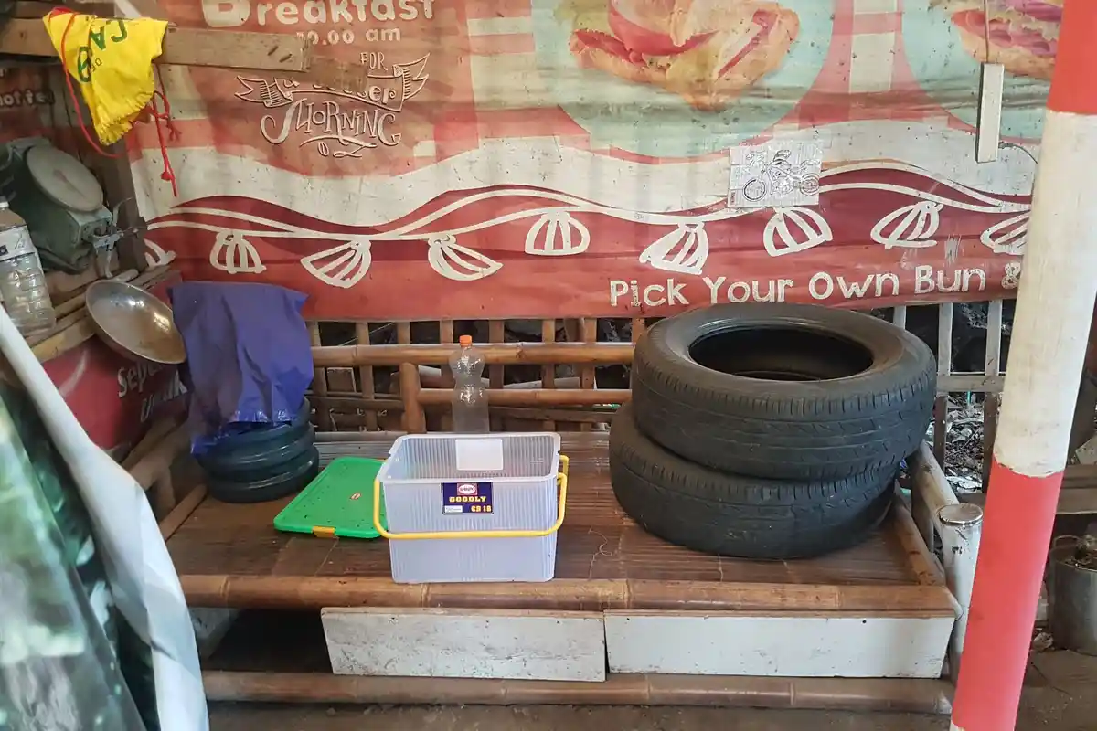 Kronologi Remaja Tewas Dipatuk King Kobra di Depok, Sedang Beri Minum Ular Peliharaan