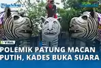 VIDEO - Heboh Patung Macan Putih di Kediri Dinilai Mirip Zebra, Kades Angkat Bicara