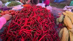 Cabai-merah-dan-Ayam-Potong-alami-penurunan-harga-Telur-ayam-naik-di-pasar-koto-jaya-mukomuko.jpg