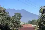 Cuaca Kota Bogor Hari Ini Jumat 13 Maret 2026, Diprediksi Cerah Berawan Sepanjang Hari