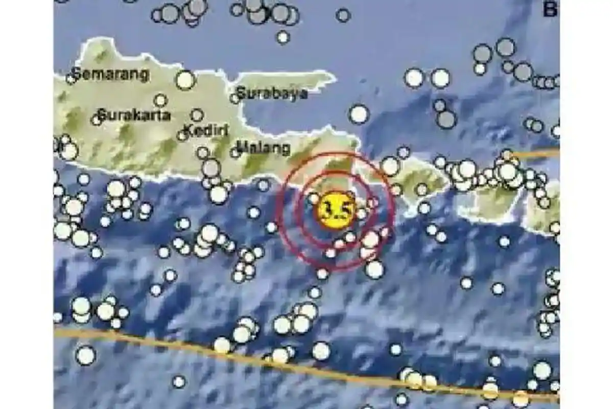 Baru Saja Gempa Magnitudo 3.5, Pusat Gempa 2 Menit Lalu di Banyuwangi Jawa Timur, Info BMKG
