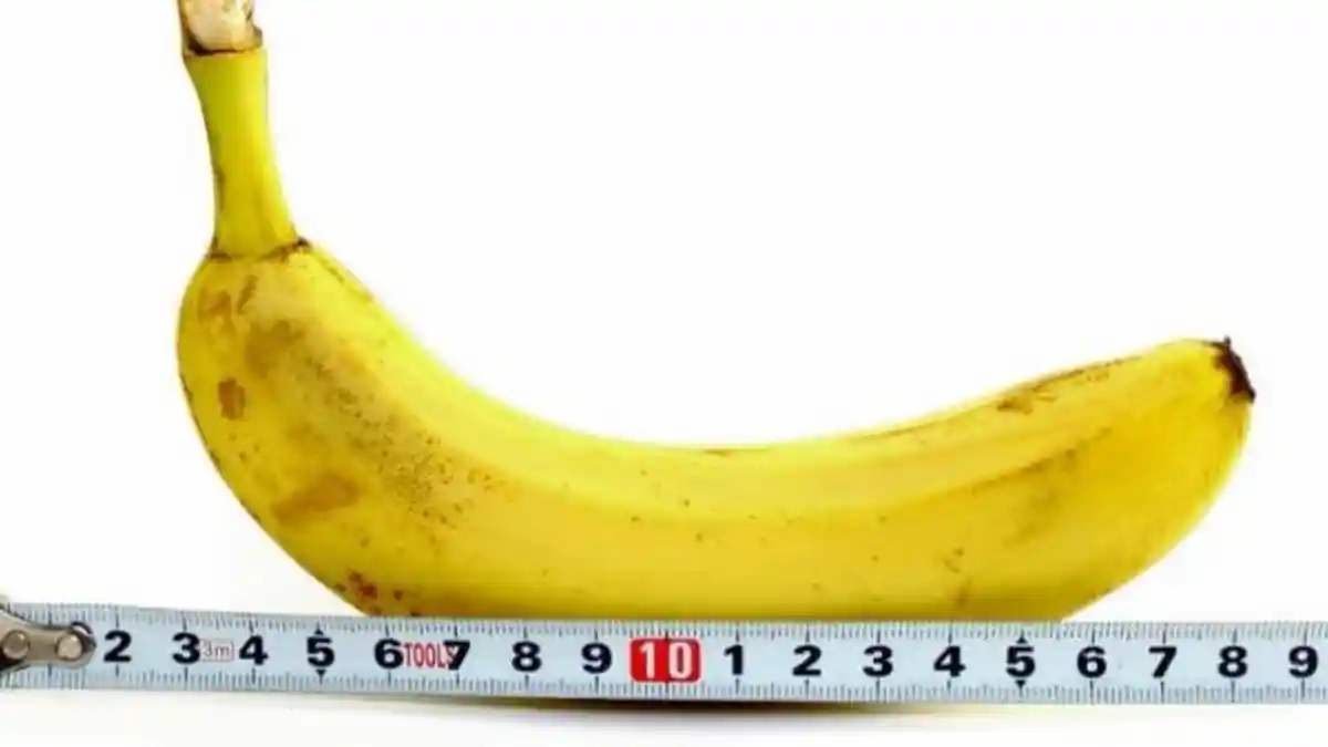 PARA PRIA Wajib Tahu, Ini 4 Perawatan Mr  P setelah Bercinta Menurut Seksolog dr Dina