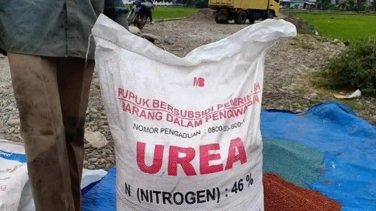 Pupuk Palsu, Ancaman Nyata bagi Petani